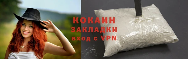 шишки Струнино