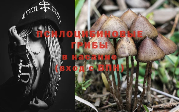 круглые Богданович