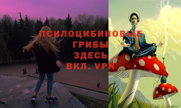трава Богородицк