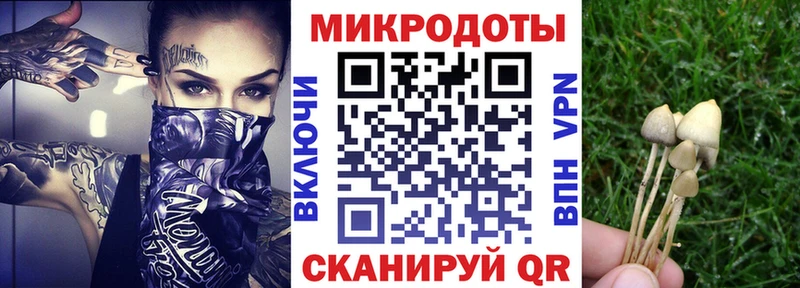 Галлюциногенные грибы прущие грибы  наркошоп  Кудрово 